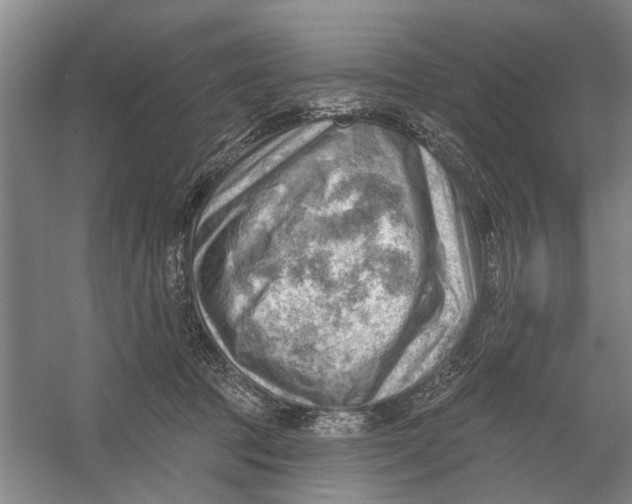 X0000054400369200508192011