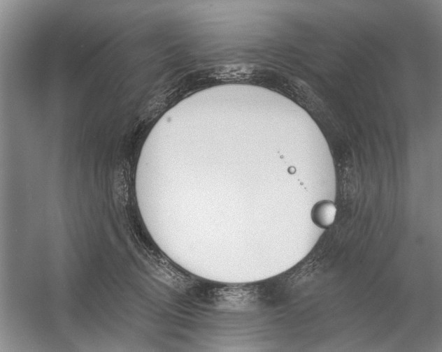 X0000054400370200508192011