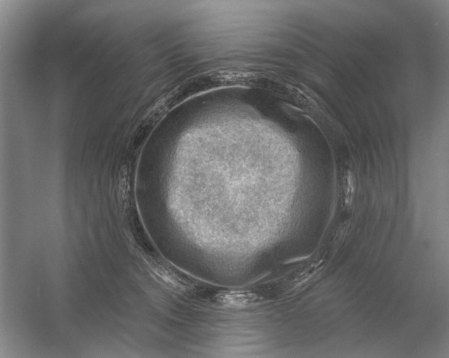 X0000054400372200508192011