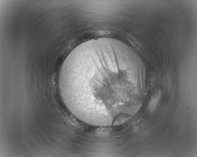 X0000054400373200508192011