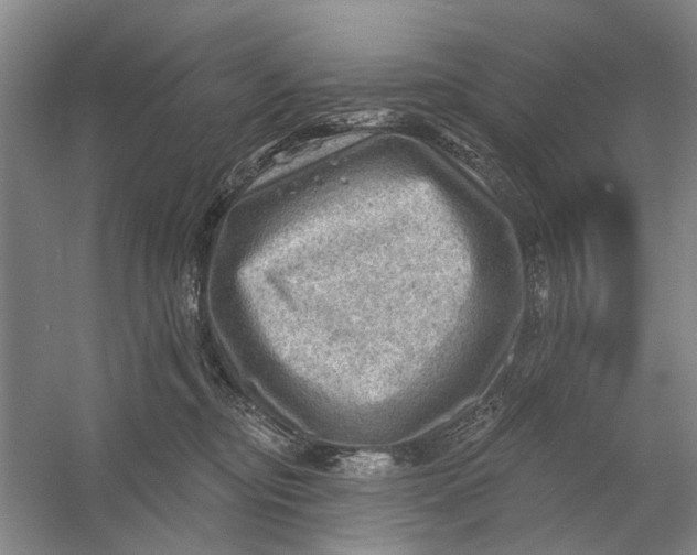 X0000054400374200508192011