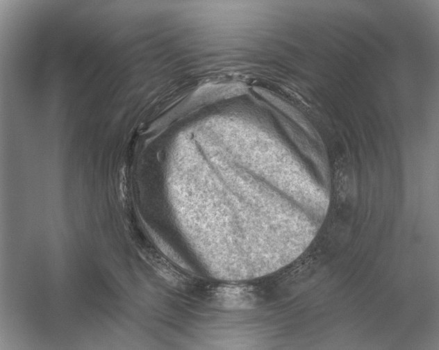 X0000054400375200508192011