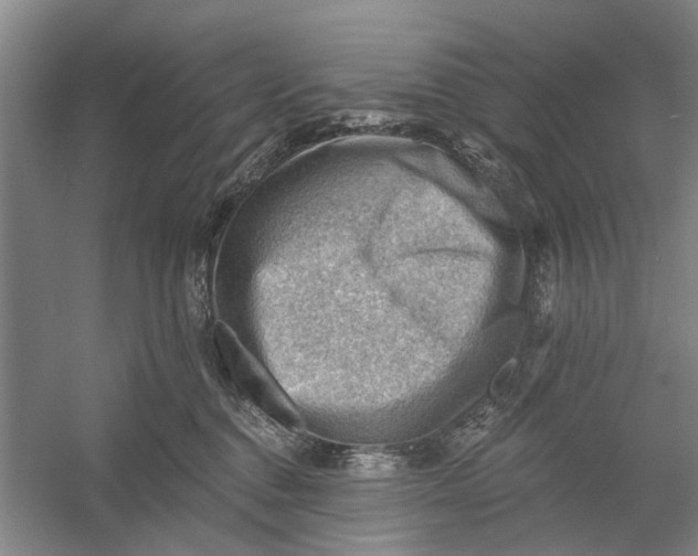 X0000054400376200508192011