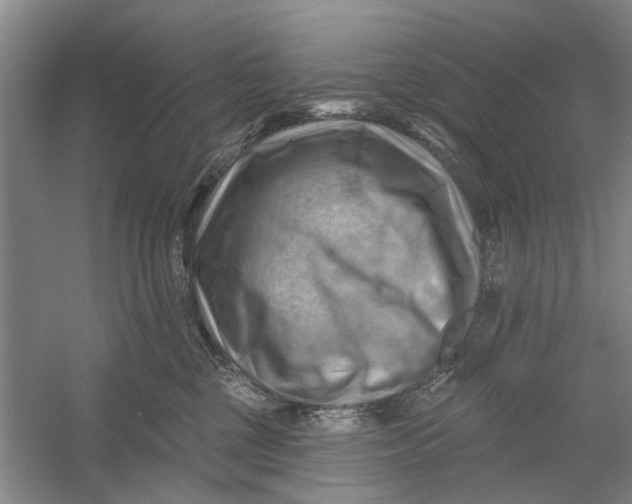 X0000054400377200508192011