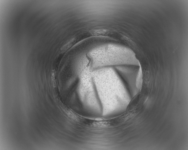 X0000054400378200508192011