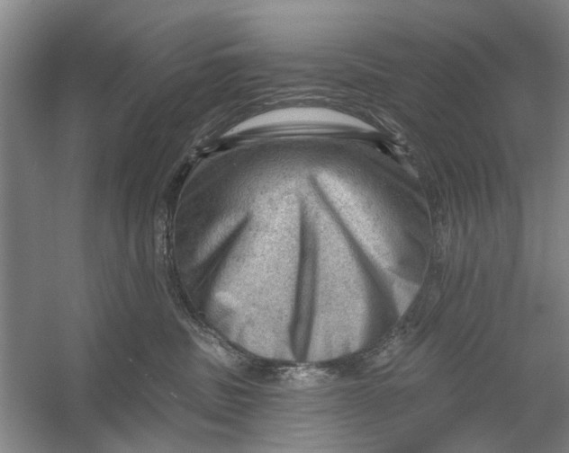 X0000054400379200508192011