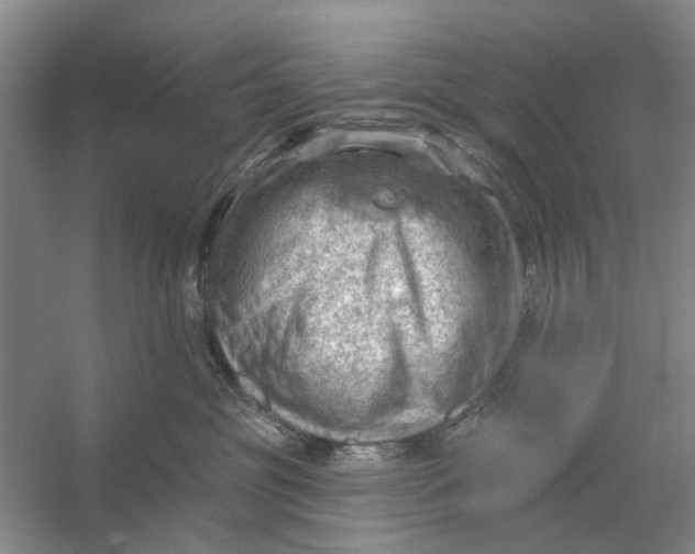 X0000054400381200508192011