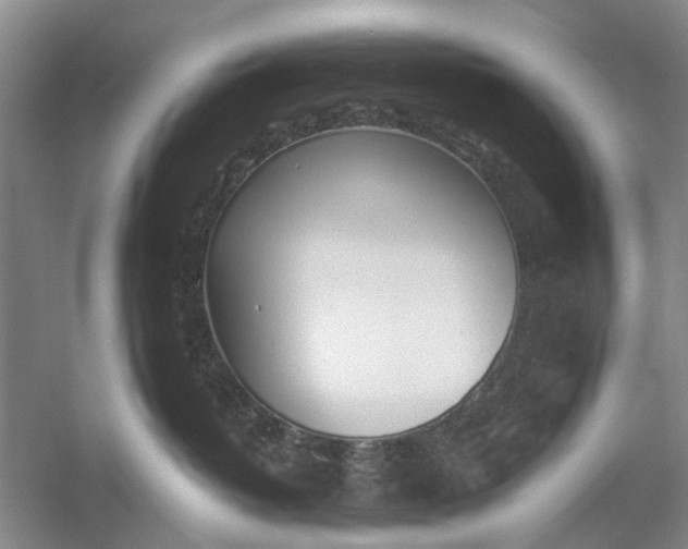 X0000054400382200508192011