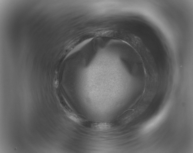 X0000054400383200508192011