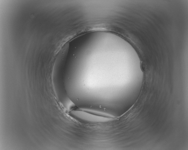 X0000054400385200508192010