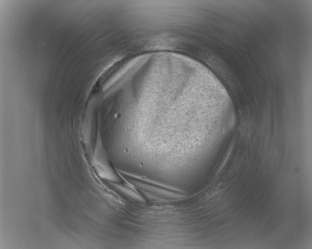 X0000054400386200508192010