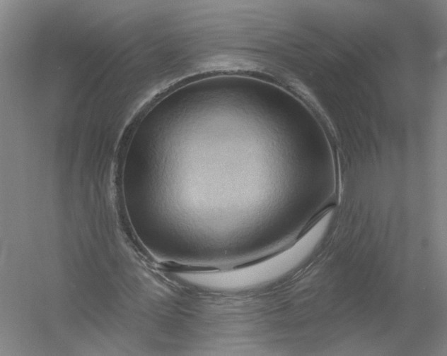 X0000054400387200508192010