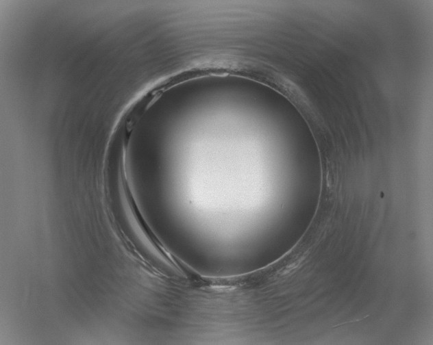 X0000054400388200508192010