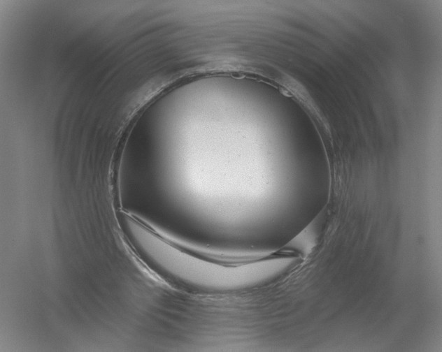 X0000054400389200508192010