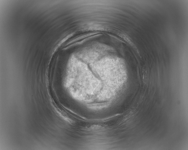 X0000054400390200508192010