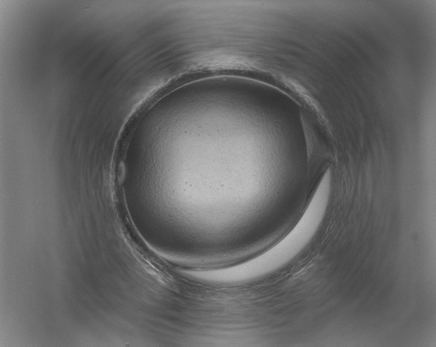 X0000054400391200508192010