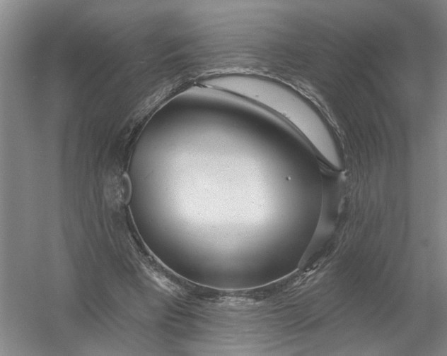 X0000054400393200508192010