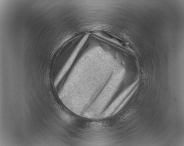 X0000054400394200508192010