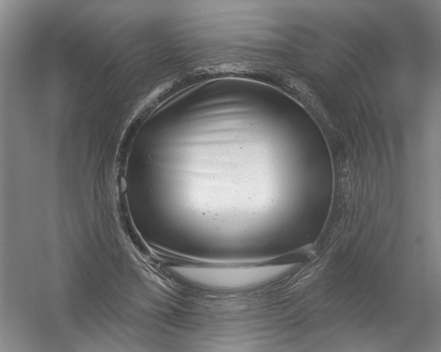 X0000054400395200508192010