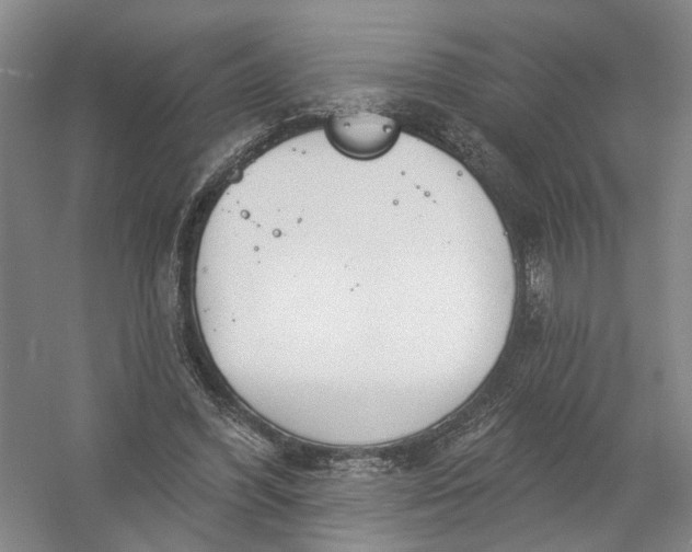 X0000054400396200508192010