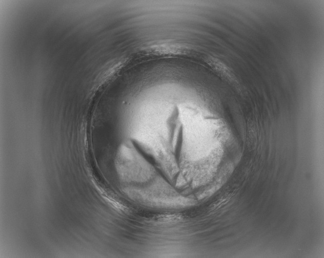 X0000054400398200508192010