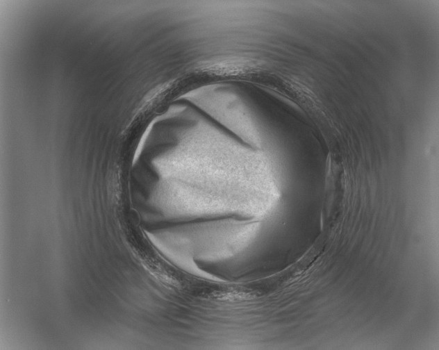 X0000054400400200508192010