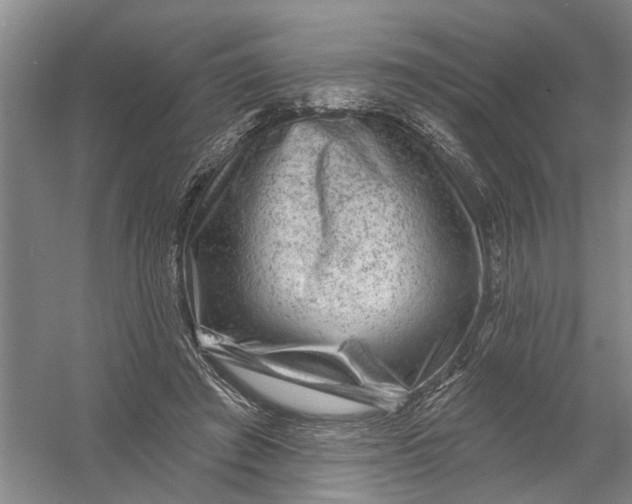 X0000054400401200508192010