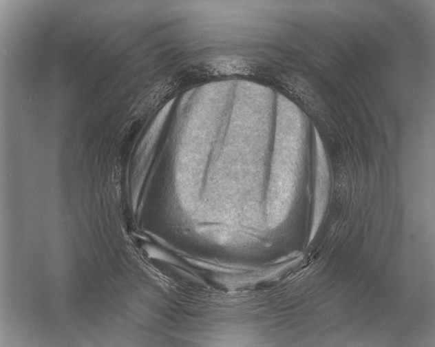 X0000054400402200508192010