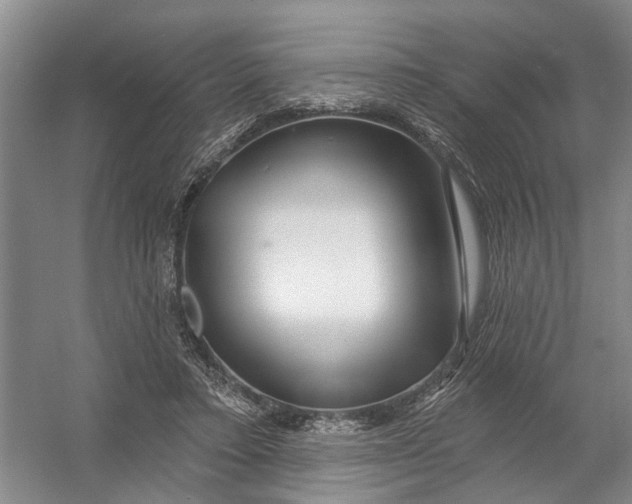 X0000054400403200508192010