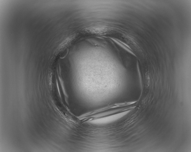 X0000054400404200508192010