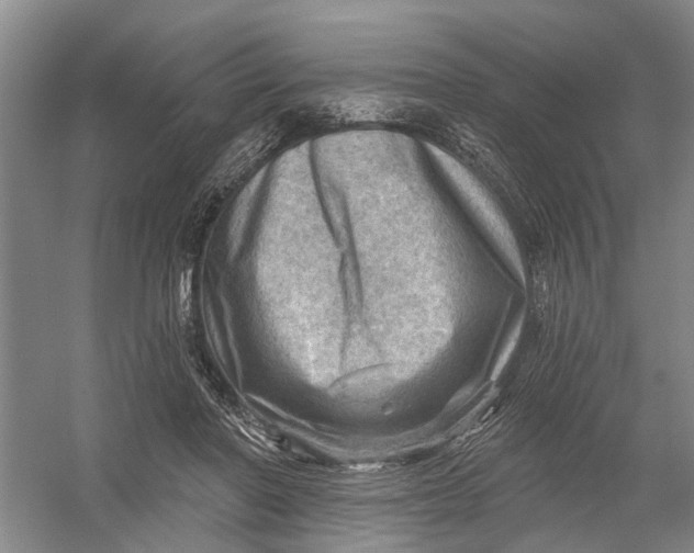 X0000054400406200508192010