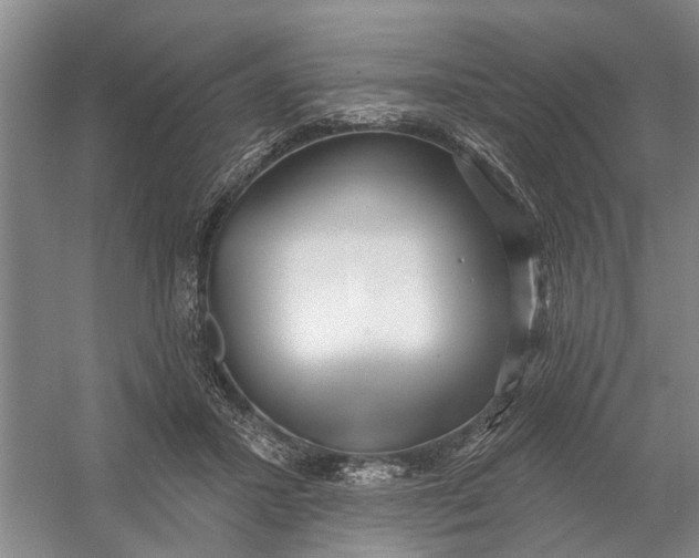 X0000054400407200508192010