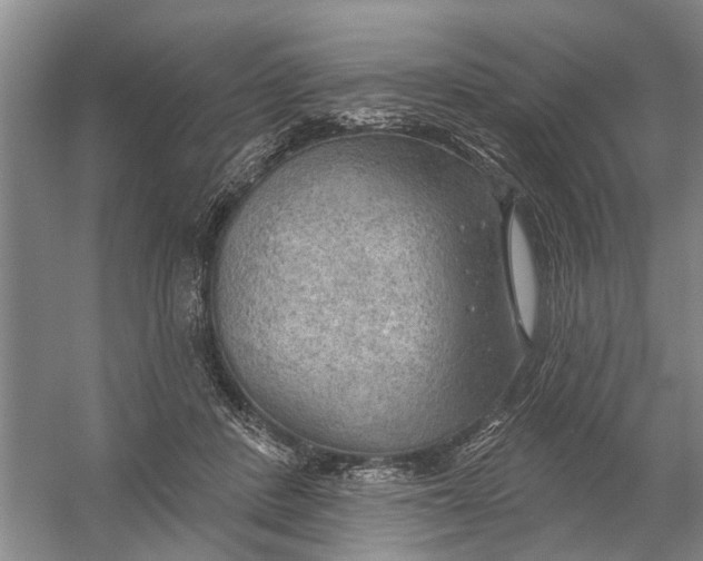 X0000054400408200508192010