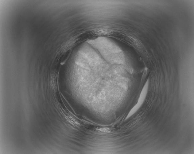 X0000054400409200508192010