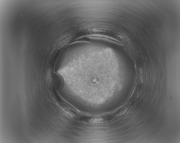 X0000054400410200508192010