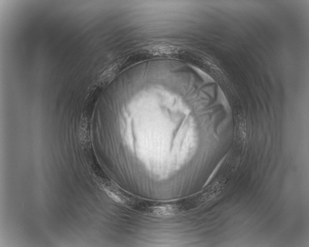 X0000054400411200508192010