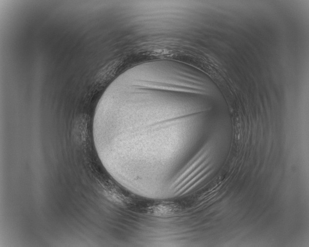 X0000054400412200508192010