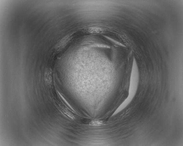 X0000054400413200508192010