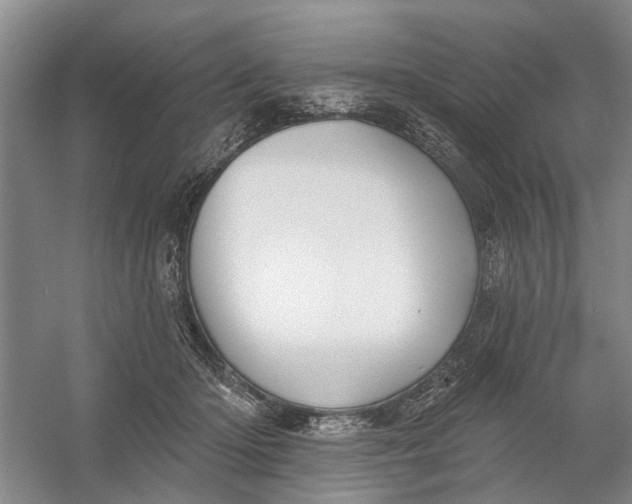 X0000054400414200508192010