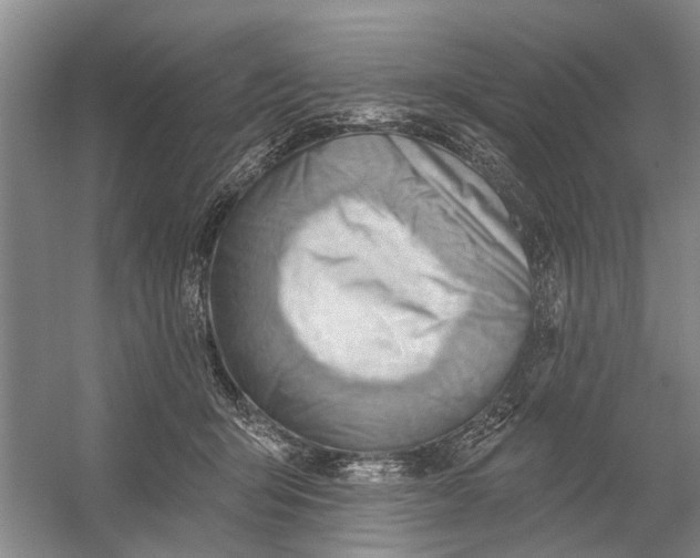 X0000054400415200508192010