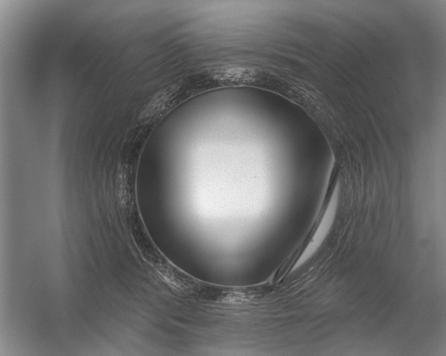 X0000054400416200508192010