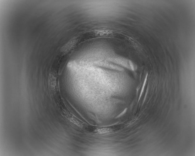 X0000054400417200508192010