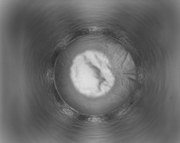 X0000054400419200508192010