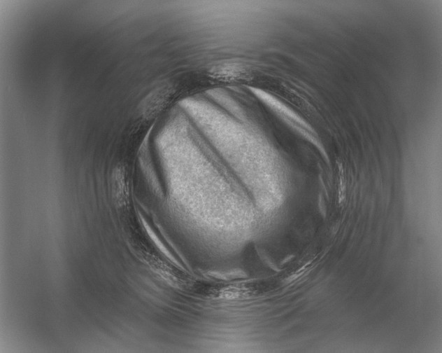 X0000054400420200508192010