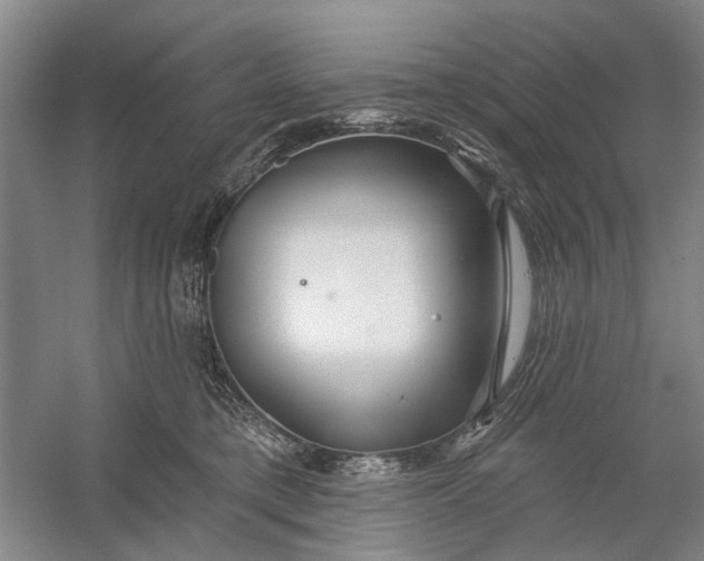 X0000054400421200508192010