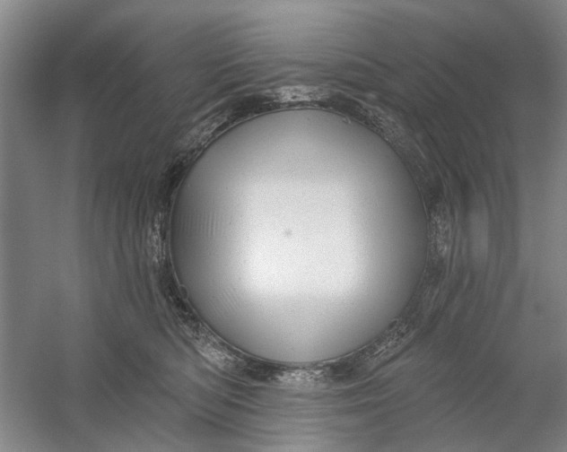 X0000054400422200508192010