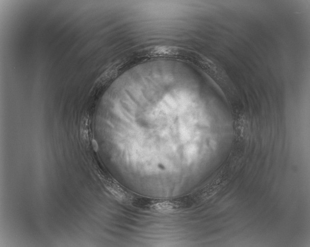 X0000054400423200508192010