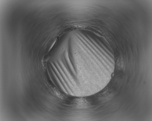 X0000054400424200508192010