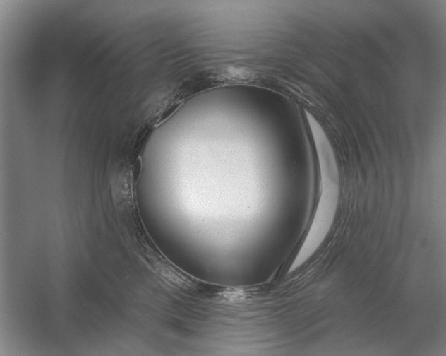 X0000054400425200508192010