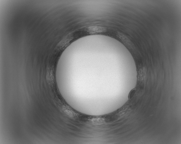 X0000054400426200508192010